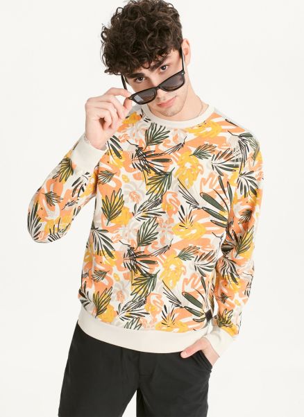 Melon Sweaters & Sweatshirts Dkny Exploded Palms Print French Terry Men
